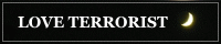 LOVE TERRORIST